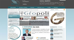 Site internet L’institut amadeus