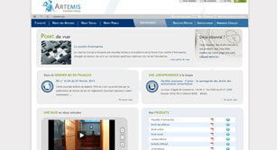 Site internet Artemis Conseil